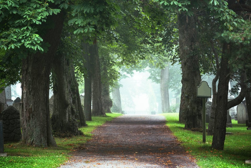 xsteehouwer-uitvaart06-960x640.jpg.pagespeed.ic.duVA8JXPkB6fFOmupS5V