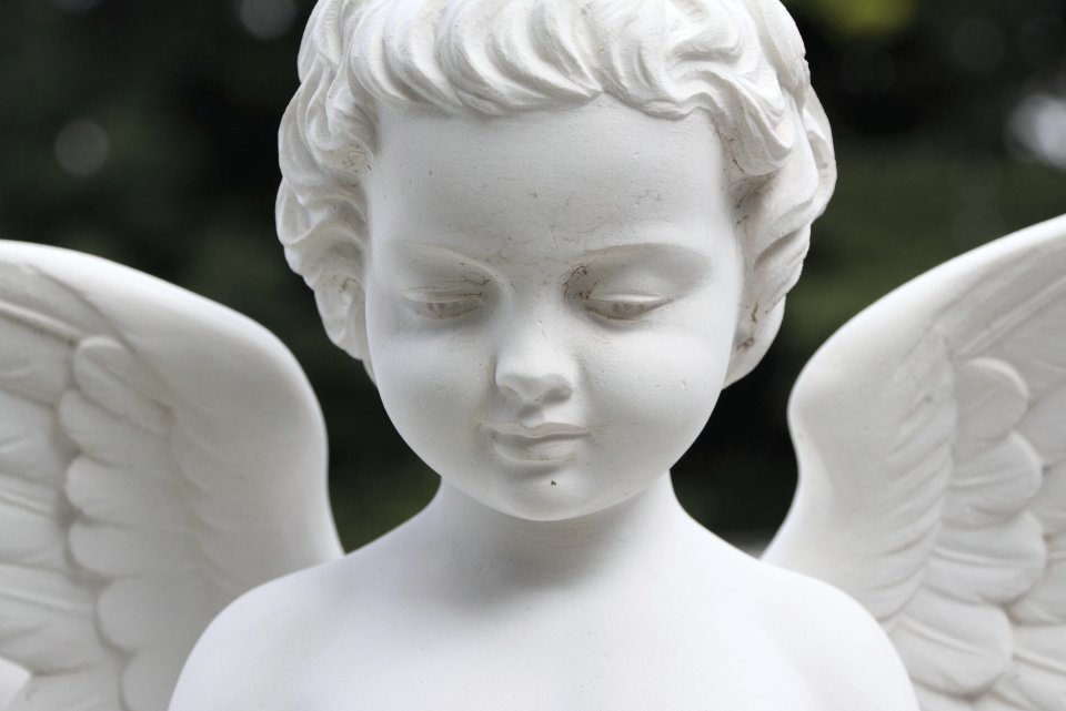 xsteehouwer-uitvaart09-960x640.jpg.pagespeed.ic.jL5jmPqKFTjf94lk7GMy